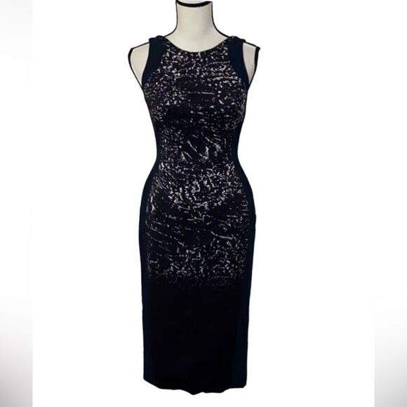 Antonio Berardi Abstract Sleeveless Crepe Sheath Dress - Picture 1 of 11